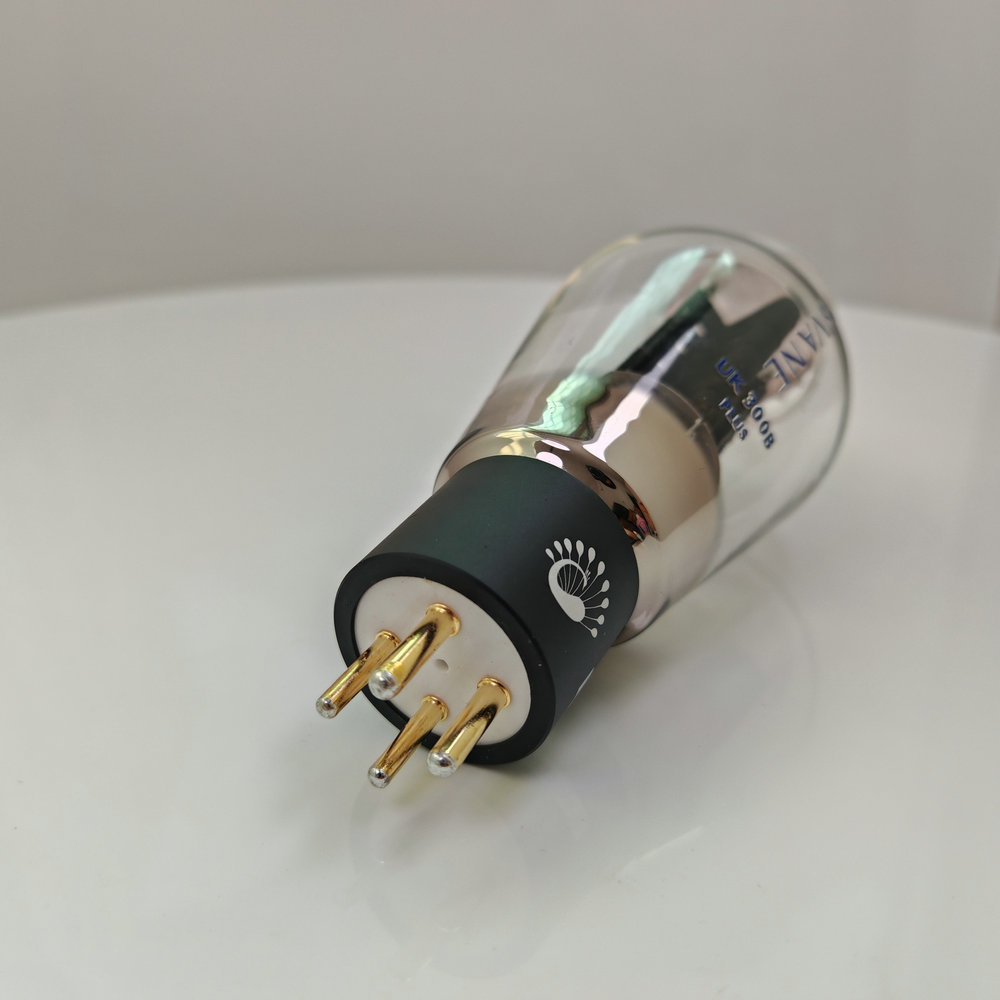 PSVANE UK300B-PLUS فراغ أنبوب  - مراجعة Diy Electronics Uk وسعره