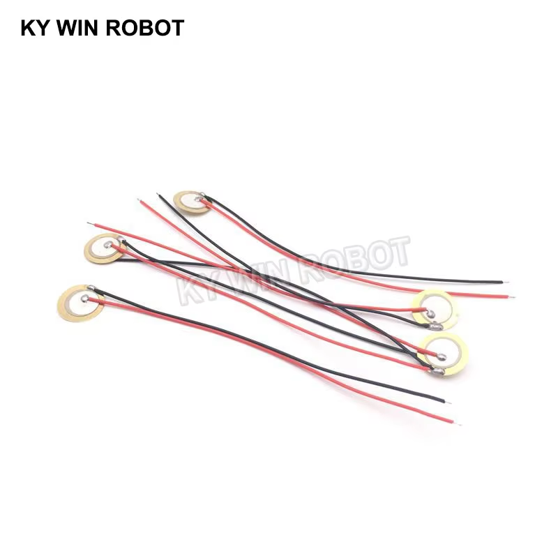 10 قطع من الرقائق السيراميكية  - مراجعة Diy In Electronics وسعره